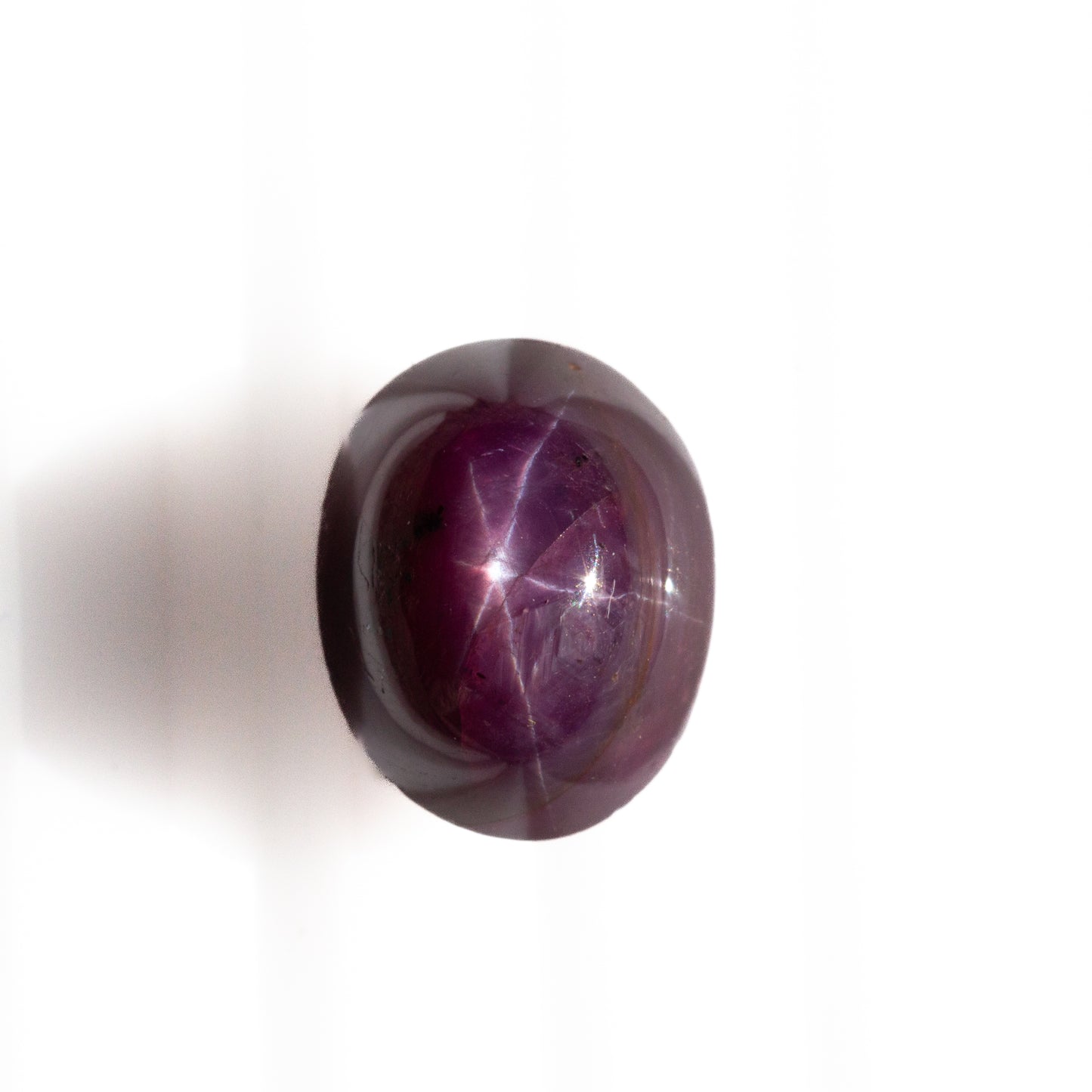 12.73ct Violet Star Sapphire Cabochon (Certified)